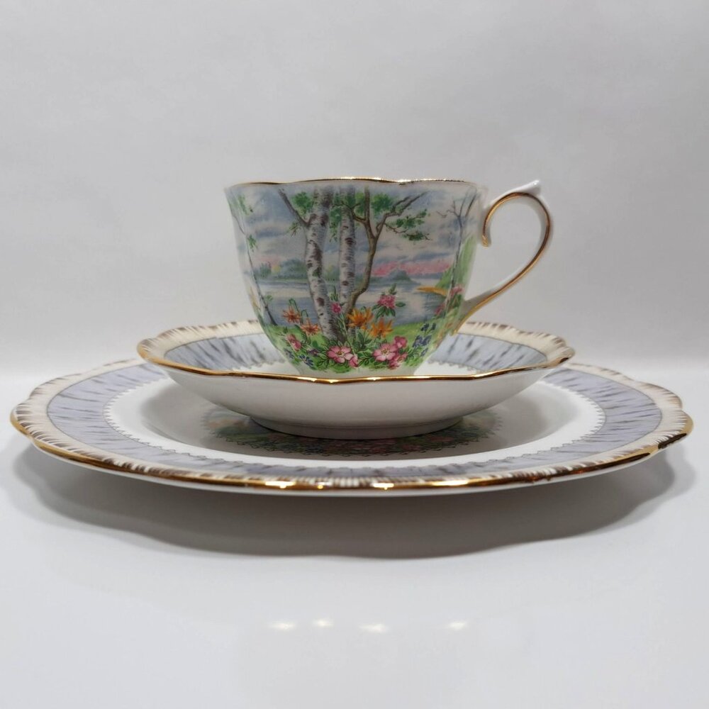 Royal Albert Silver Birch Teacup Saucer Plate Trio Set Scenic Woodland Vintage